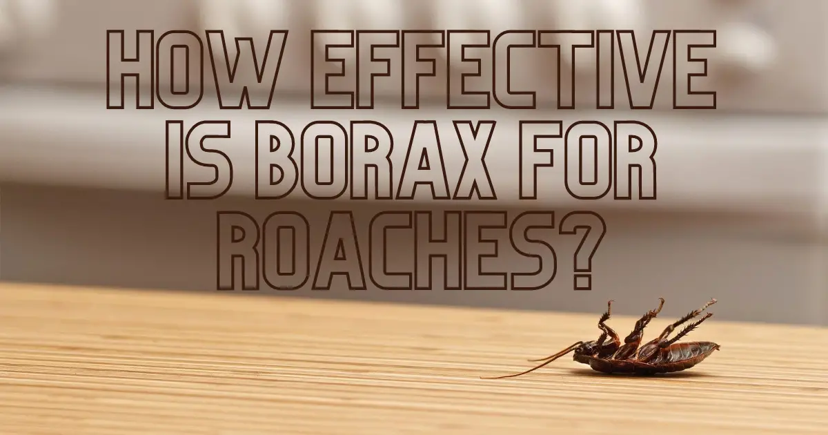 how effective is borax for cockroaches