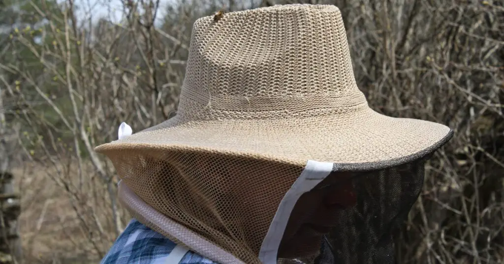 Bee sitting atop a woman's beekeeping hat