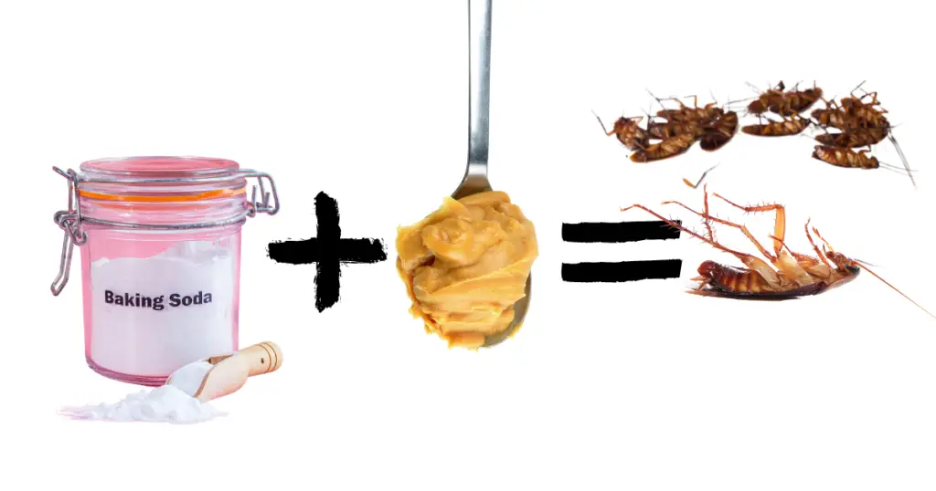 Peanut Butter and Baking Soda to Kill Roaches