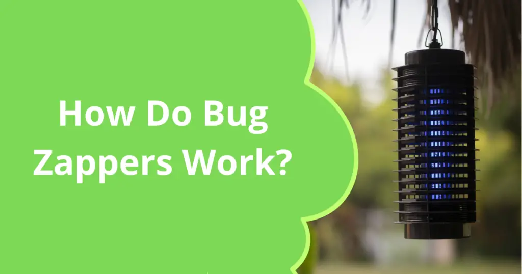 how do bug zappers work?
